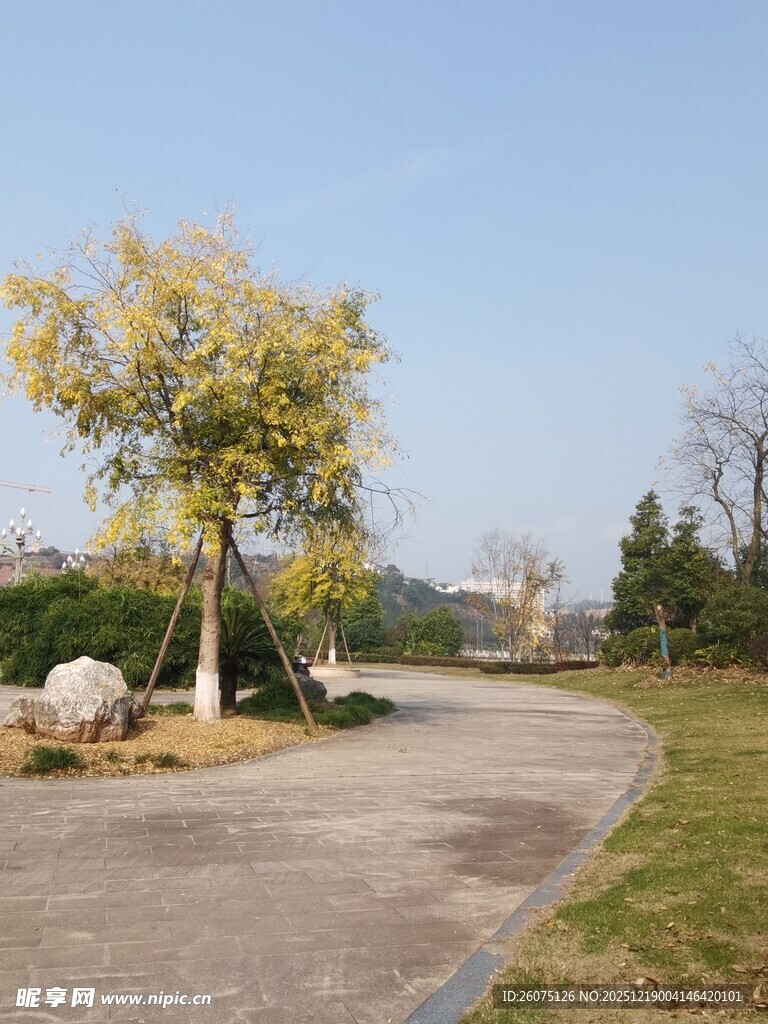 秋日公园蜿蜒小径风景