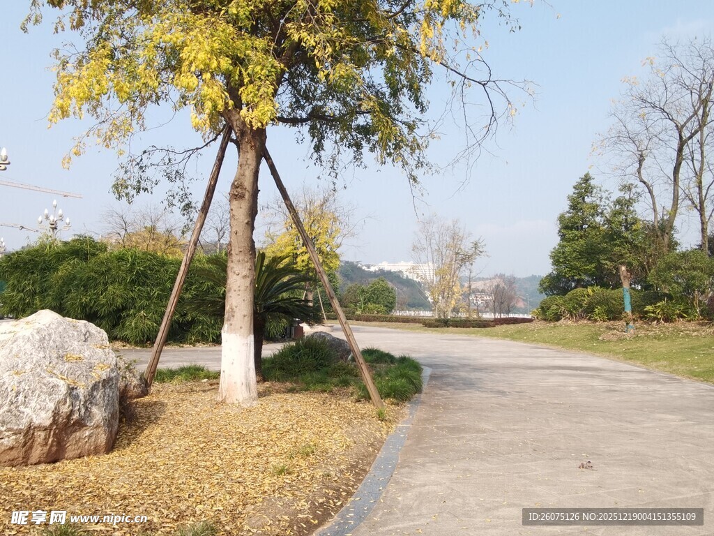 秋日公园小径风景