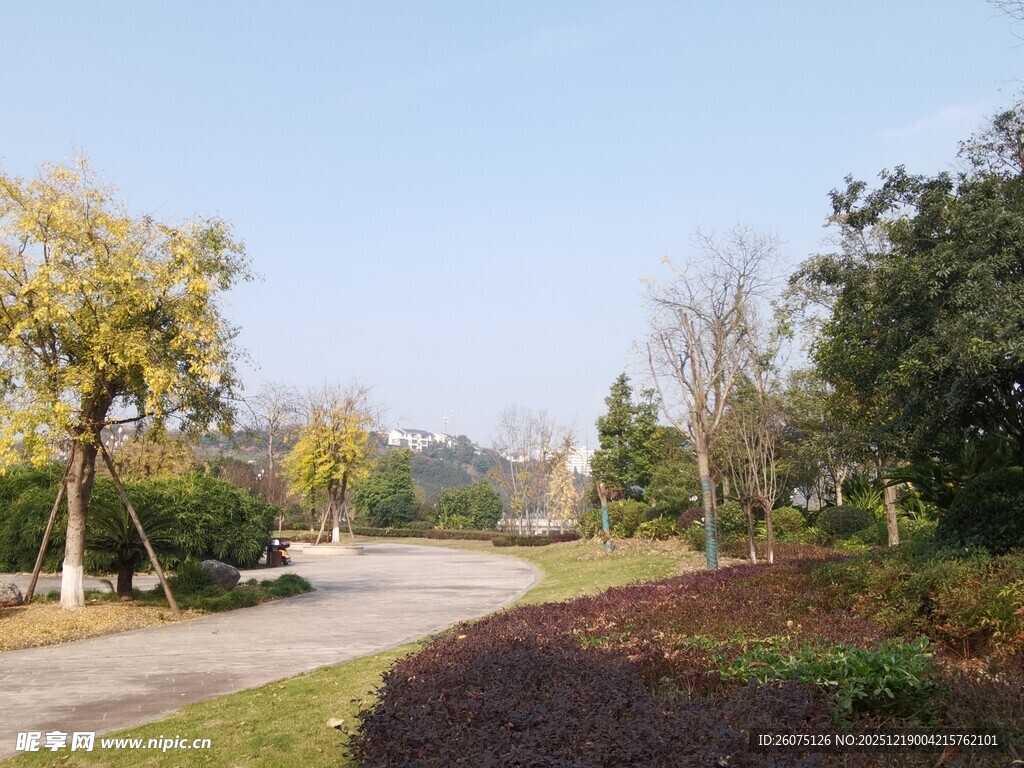 秋日公园林间小道美景