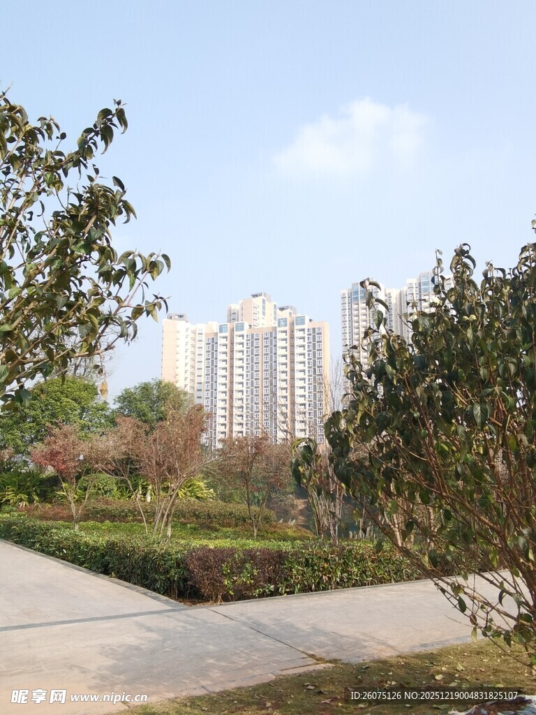 城市中的自然景观小径