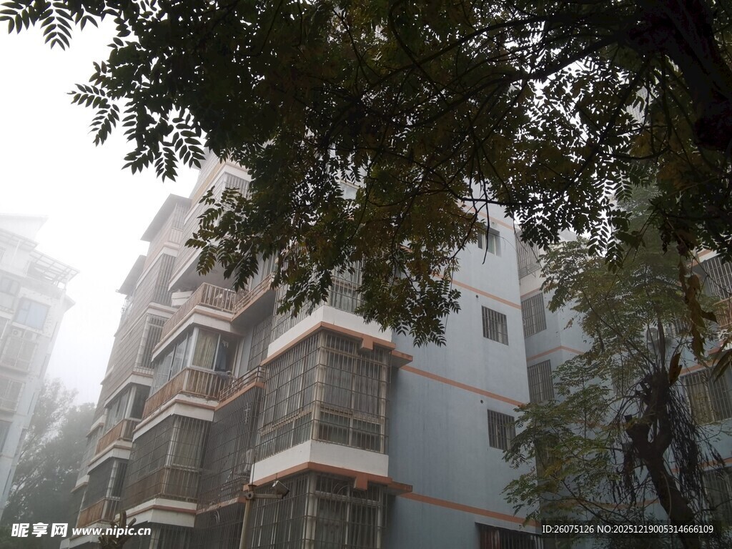 雾中居民楼与绿树