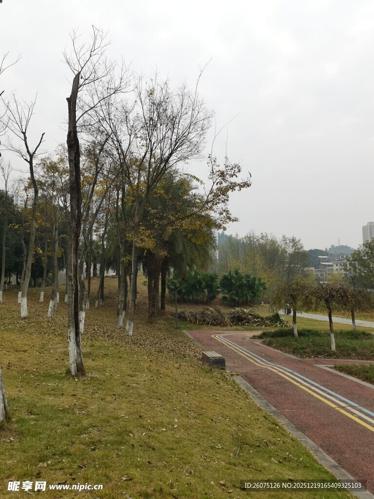 公园冬日静谧小路景观