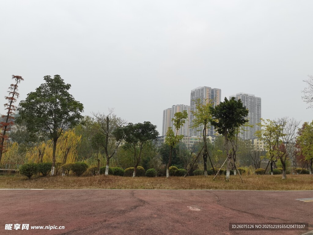 城市中开阔的绿化休闲场地