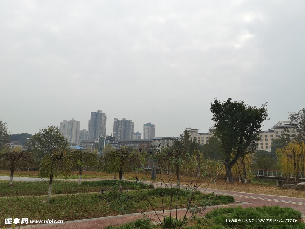 城市公园中的自然景致