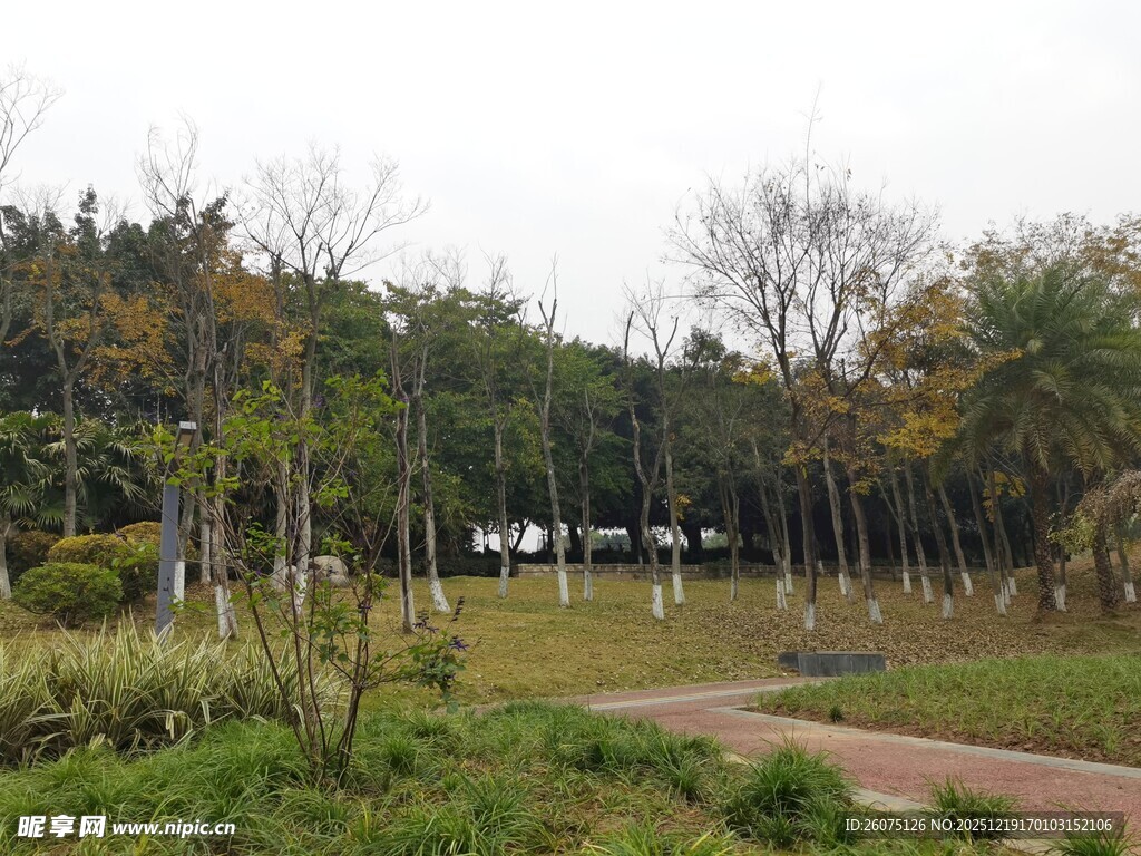 林间小道自然清新景致