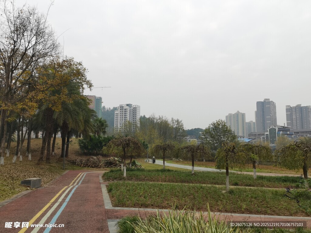 城市公园中的静谧步道