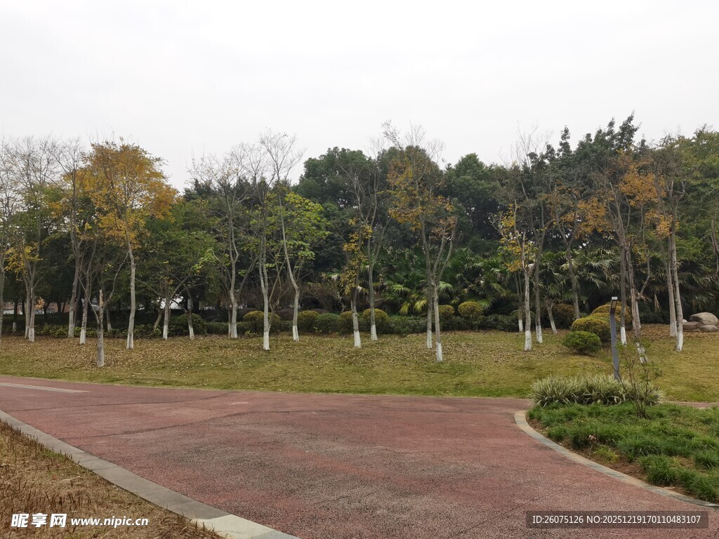 秋日公园的宁静步道