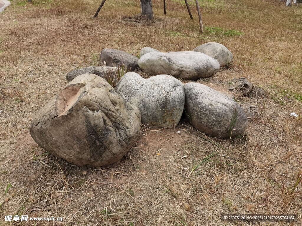 草地上的几堆灰色物体