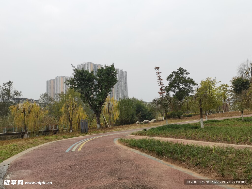 城市公园中的蜿蜒小路