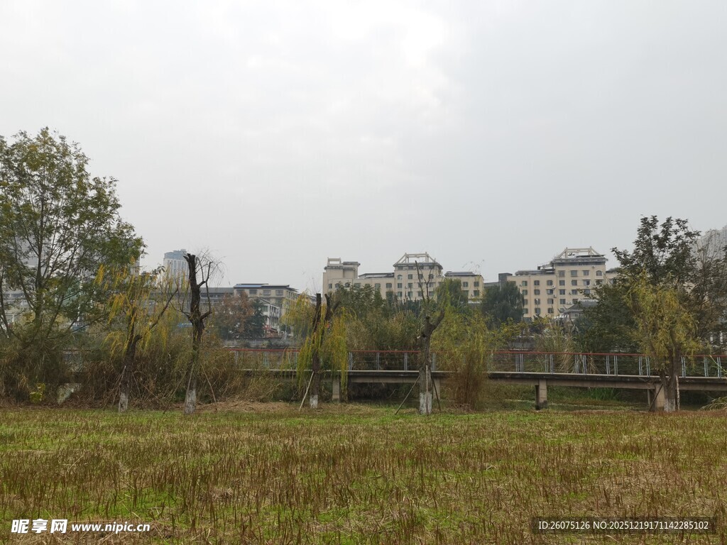 郊外草地与远处建筑景观