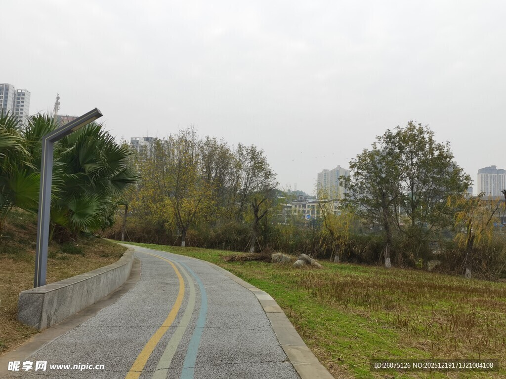 蜿蜒公路旁的秋日景致