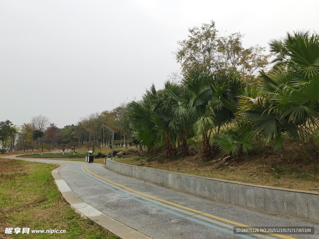 蜿蜒林间的宁静骑行道路