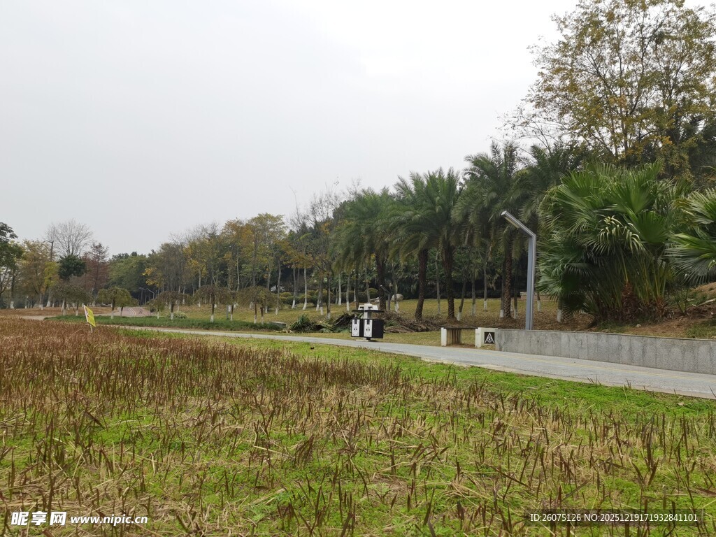 郊外草地旁的休闲小路