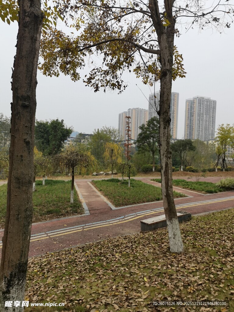 秋日公园静谧景致