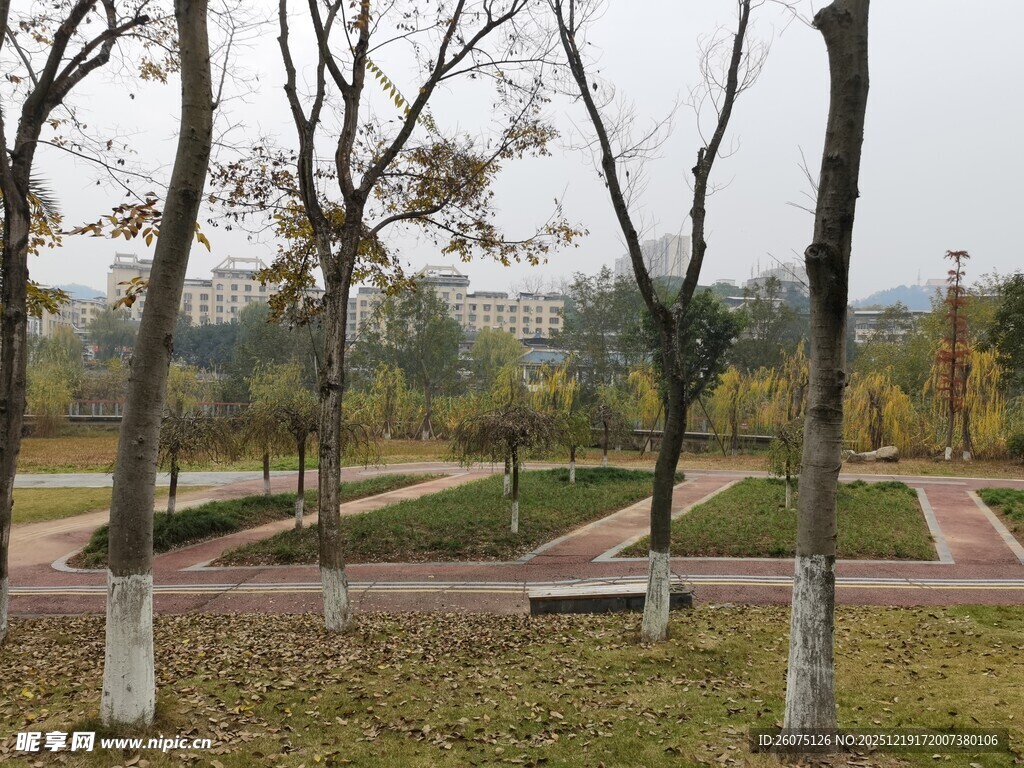 冬日公园的静谧步道景观