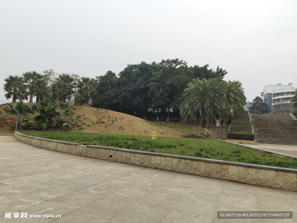 户外开阔绿地景观