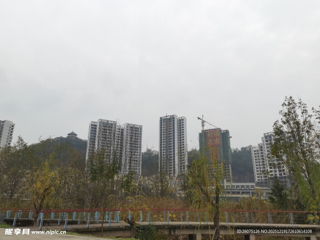 城市远景中的高楼与树木