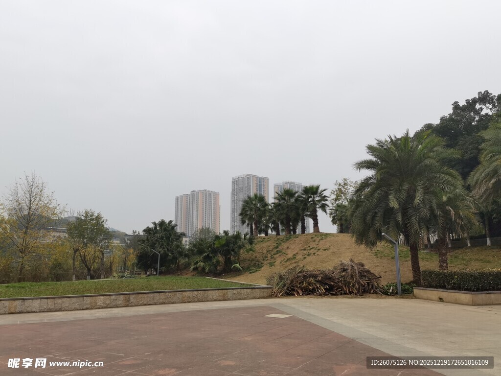 城市公园中的开阔景观