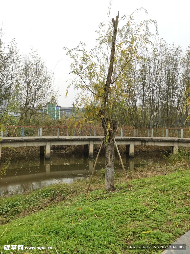 河畔桥梁旁的萧瑟景致