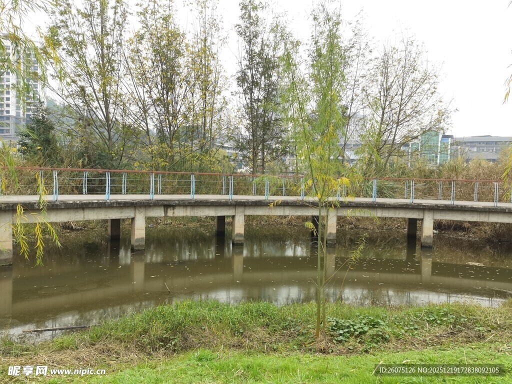 河畔木桥自然清新景致