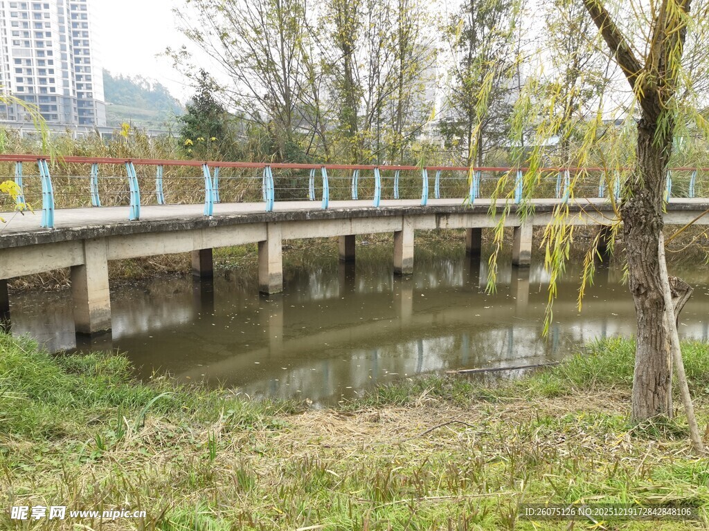 河畔石桥春日自然景致