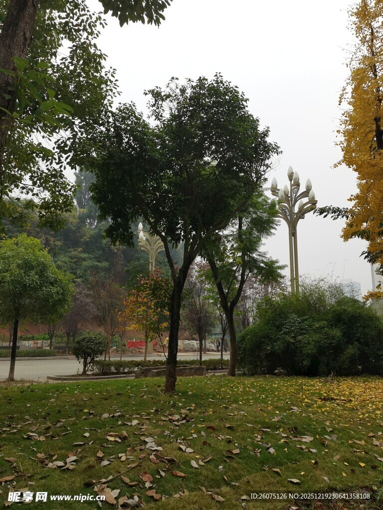 秋日公园静谧景致