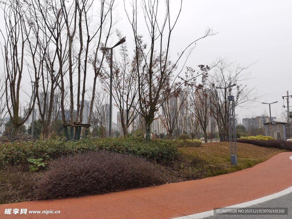 城市公园中的多彩步道景观