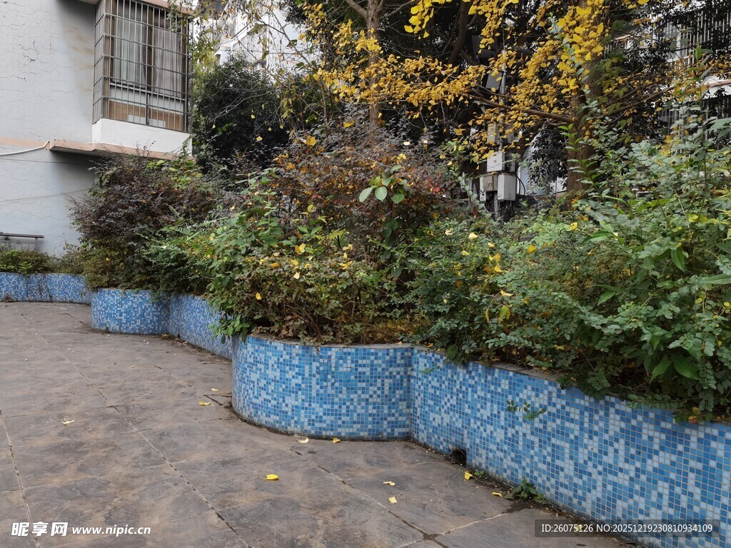 蓝色马赛克花坛装点小径