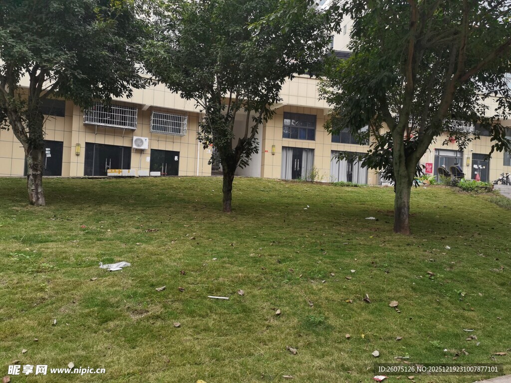 校园草地旁的多层建筑