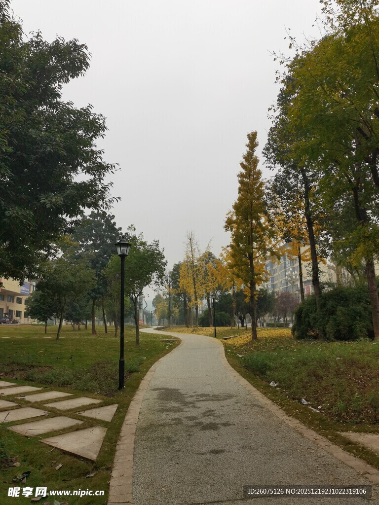 秋日公园幽静小路