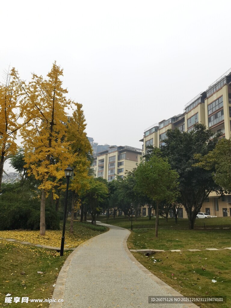 秋日公园小径风景