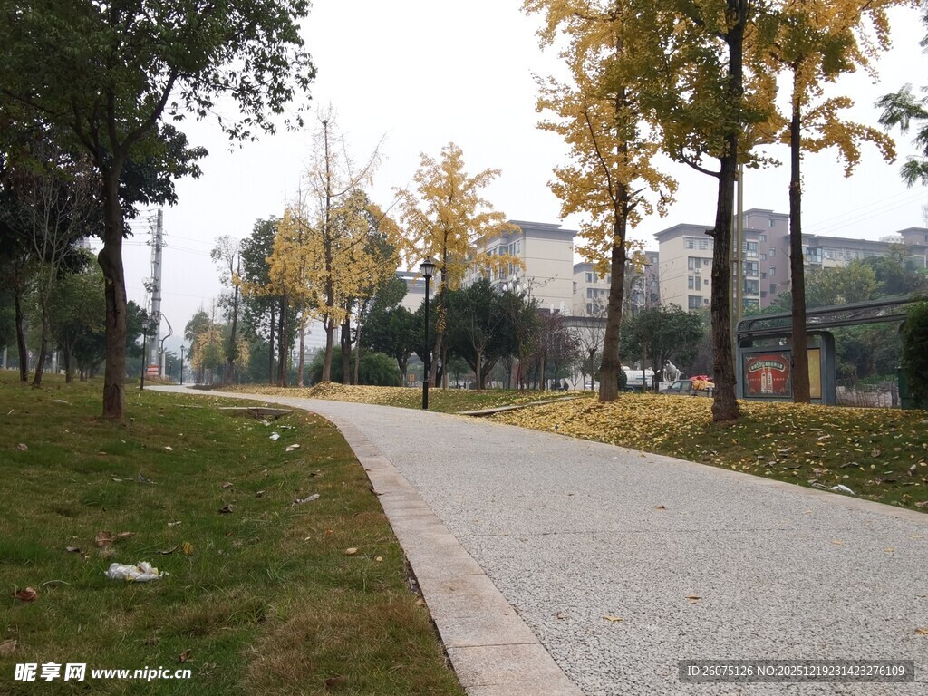 秋日公园幽静小路