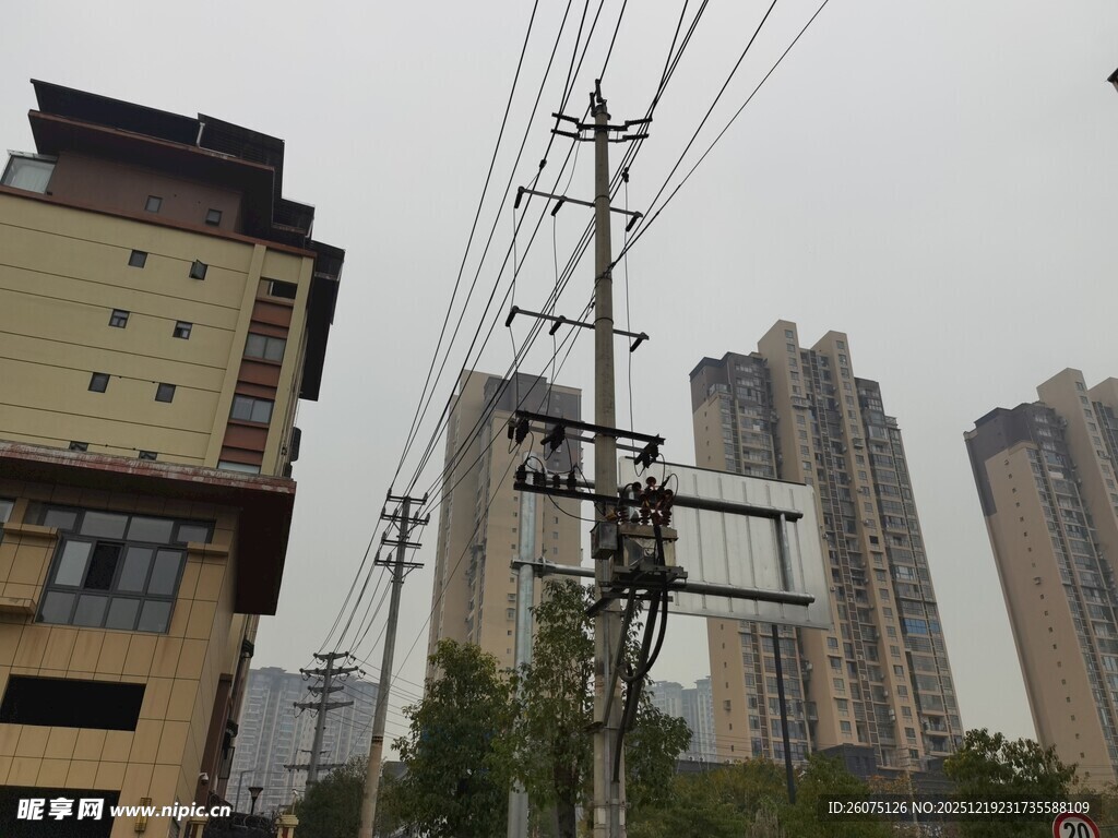 城市中的电线杆与高楼