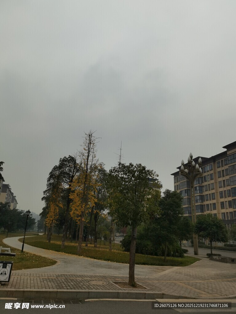 城市街道旁的建筑与树木