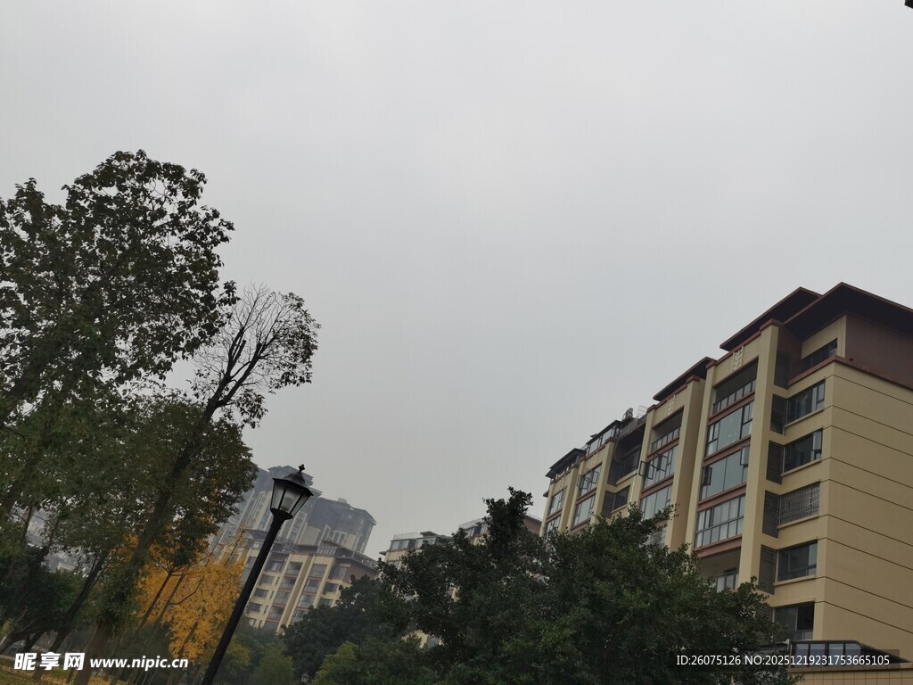 小区住宅楼周边景观