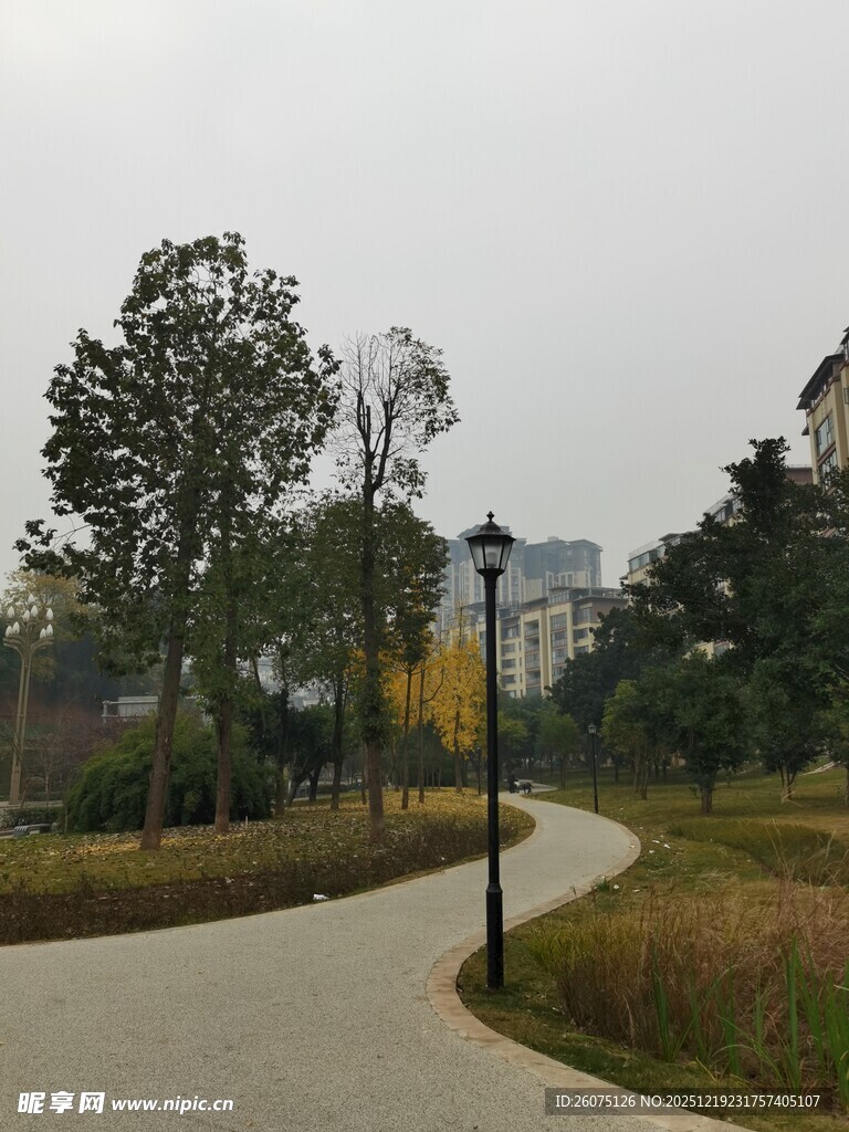 城市中的静谧公园小径