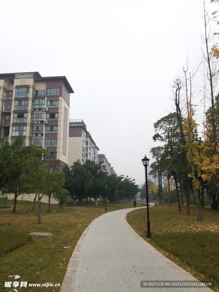 小区旁的幽静林荫小道