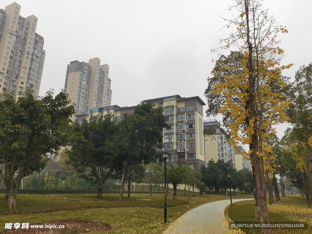 城市公园中的宁静小路