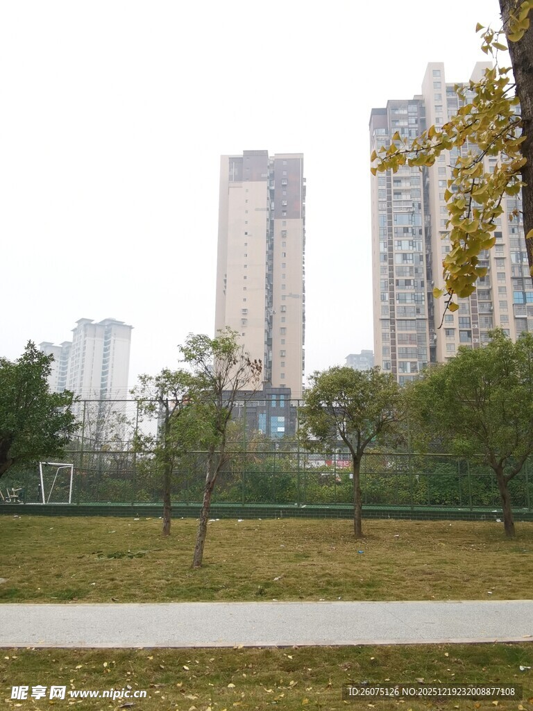 城市公园与远处高楼景观