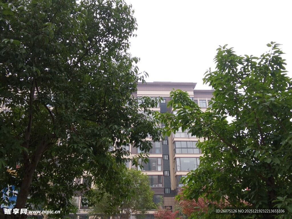 绿树掩映下的建筑