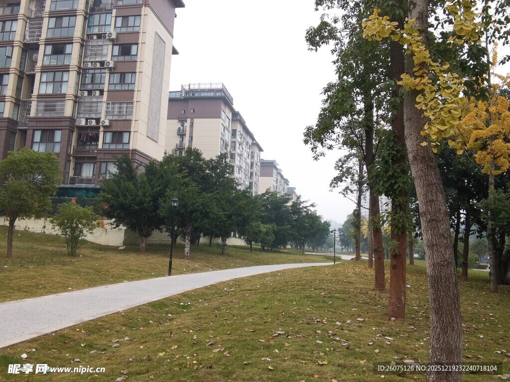 小区旁的林荫步道