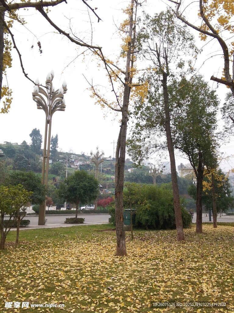 秋日公园落叶与雕塑景观