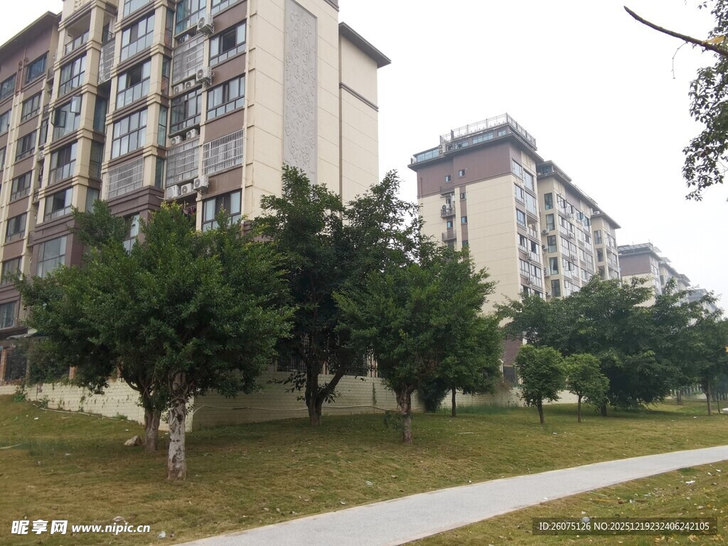 小区旁的绿树与步道