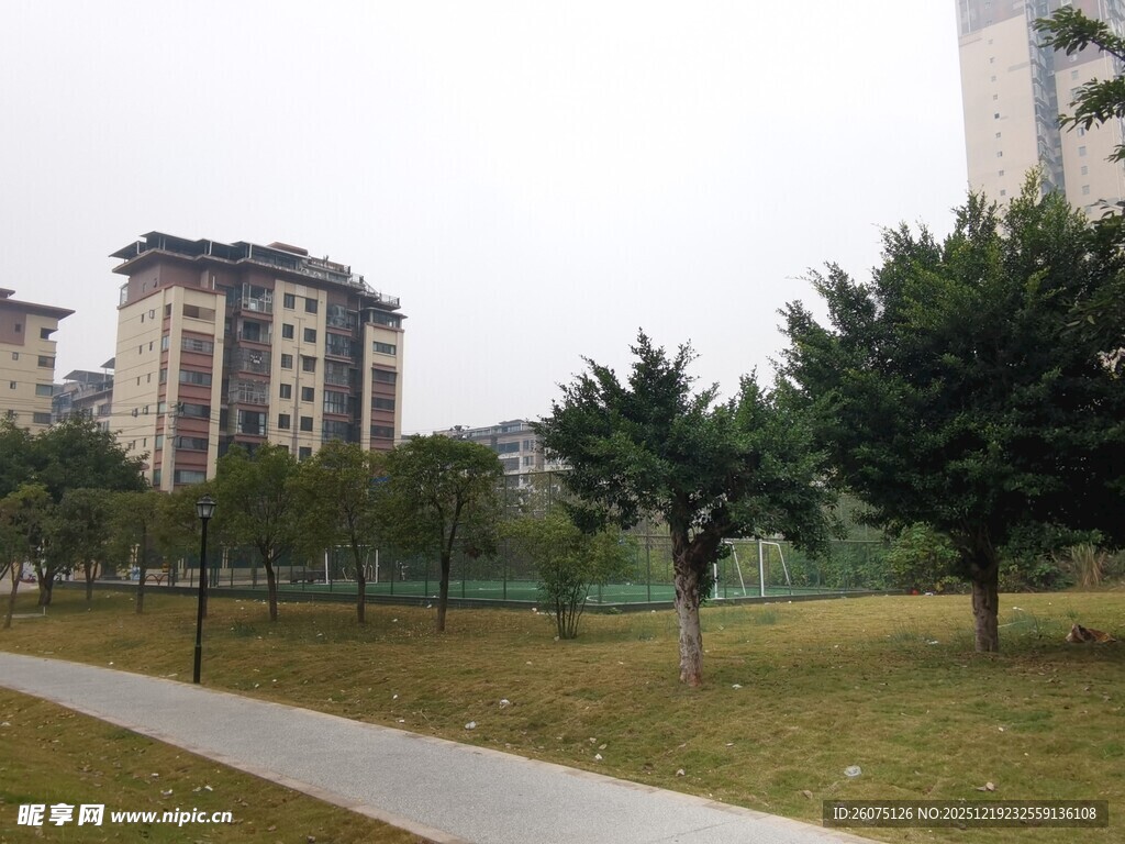 城市公园中的绿树与建筑