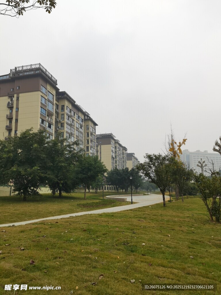 小区旁的绿地与建筑景观