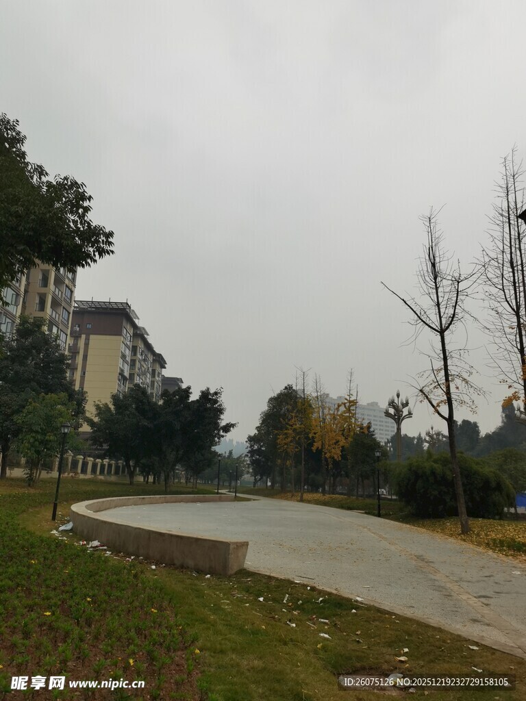 城市公园中的开阔休闲区域