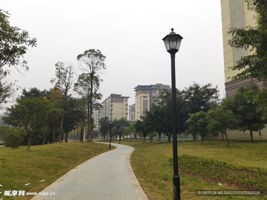 城市公园中的幽静小路