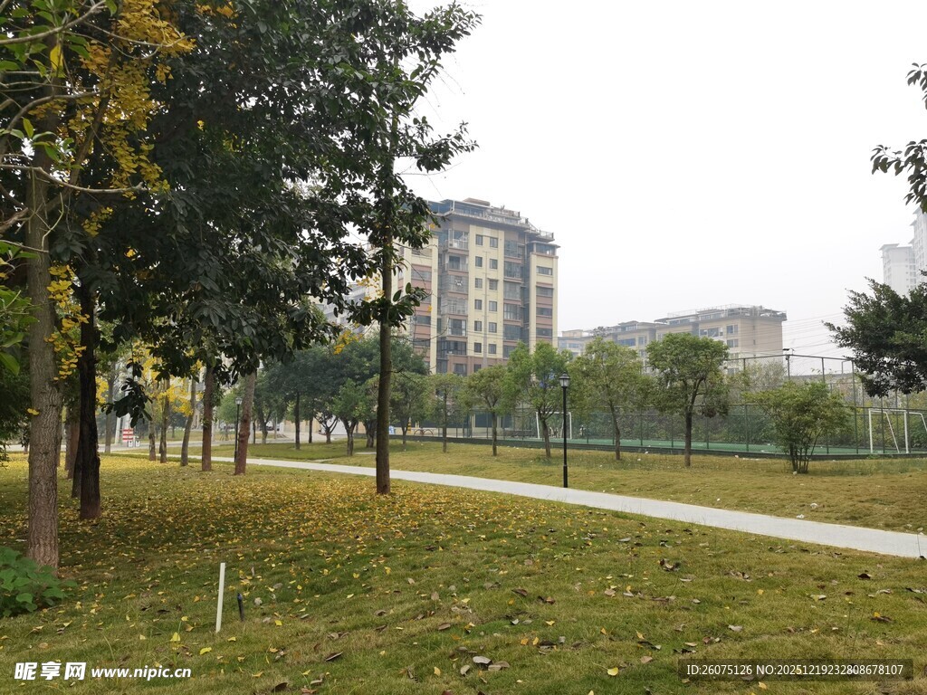 城市公园中的宁静林荫道