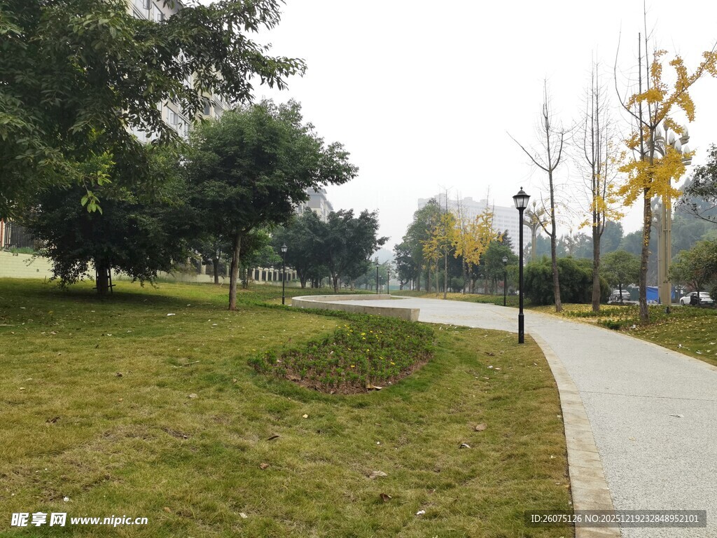 秋日公园的宁静小路