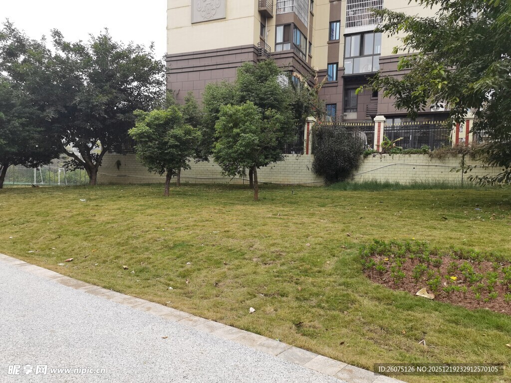 小区内的绿化景观